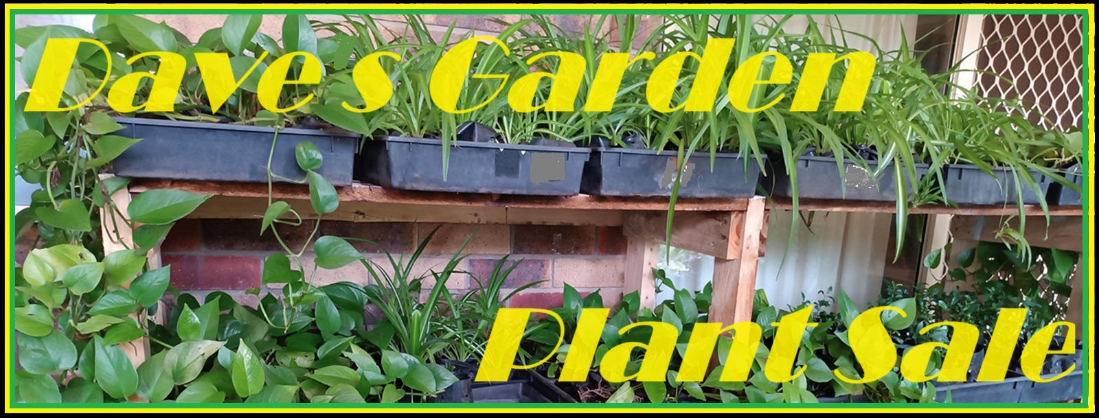 (image for) Daves Garden